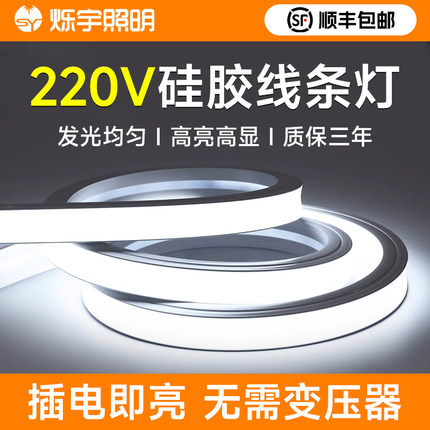 烁宇220V硅胶灯带led灯条柔性软户外防水明装嵌入式线条形灯带槽