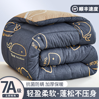 加厚保暖冬被四季通用