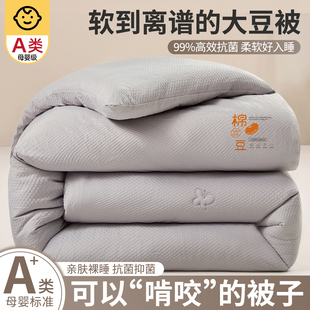 大豆被子冬被春秋加厚保暖棉被芯学生宿舍单人四季通用夏凉空调被