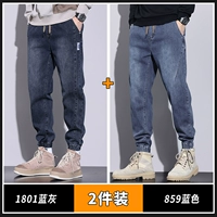 1801 синий серый +859 синий (две части)