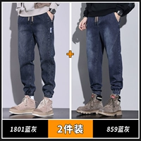 1801 Blue Grey+859 Blue Grey (две части притворяются)