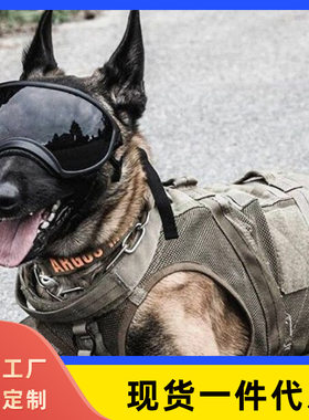 警犬福仔护目镜宠物用品眼镜狗狗太阳镜中大型犬墨镜警犬军犬眼镜