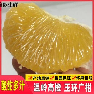正宗玉环广柑温岭高橙现摘新鲜多汁整箱孕妇酸甜水果原产地特产10