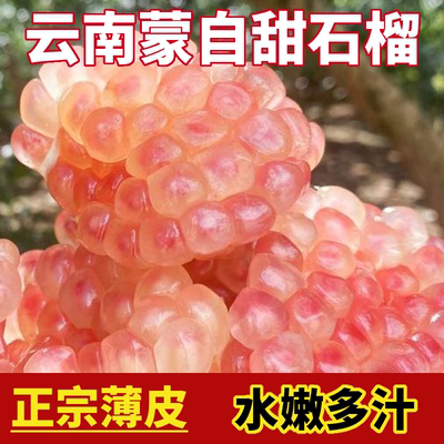 云南蒙自石榴当季水果新鲜薄皮籽多汁甜石榴现摘现发孕妇包邮批发