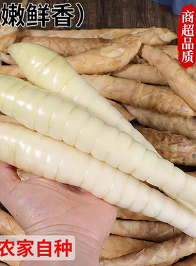 农家新鲜竹薯现挖无渣竹芋当季冬粉薯凉粉薯根茎薯煲汤炒菜9斤