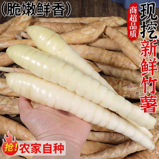 农家新鲜竹薯现挖无渣竹芋当季冬粉薯凉粉薯根茎薯煲汤炒菜9斤