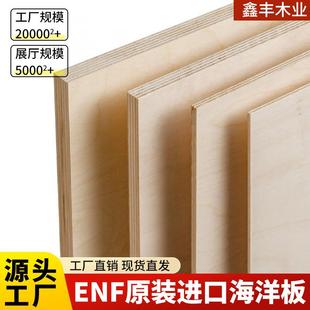 进口全桦木海洋板一手现货直发整板胶合木板环保防潮多种规格