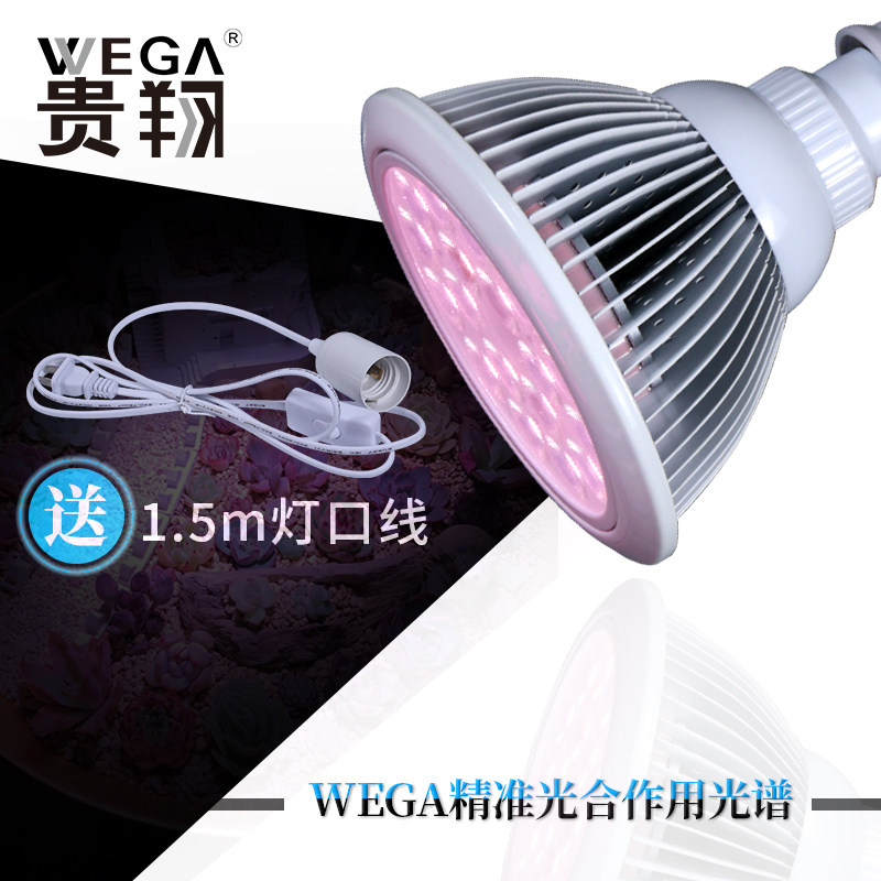 多肉补光灯家用上色全光谱防徒长LED仿太阳光光照植物生长灯