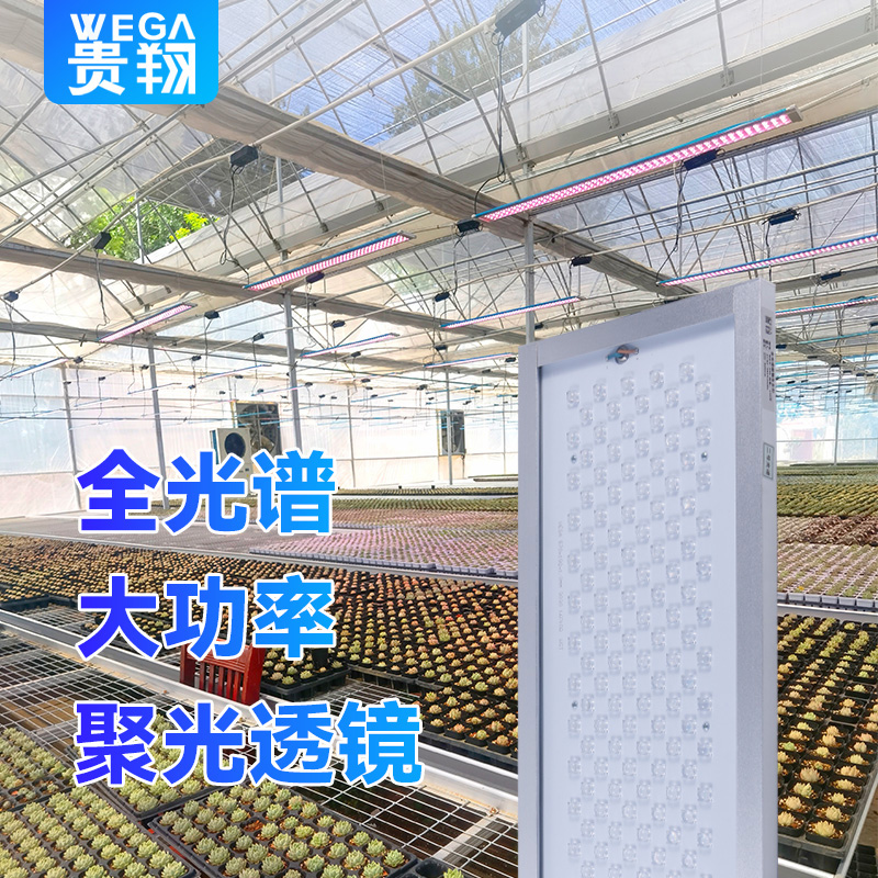 贵翔植物补光灯全光谱植物生长灯