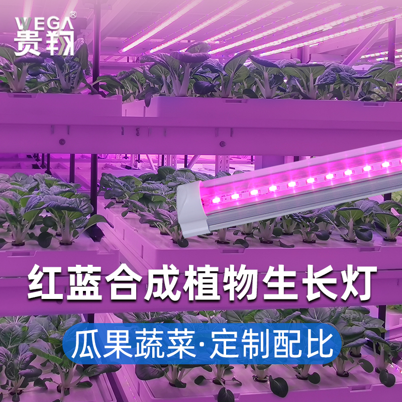 贵翔 植物生长灯组培育苗太阳光日照模拟灯红蓝合成全光谱补光灯