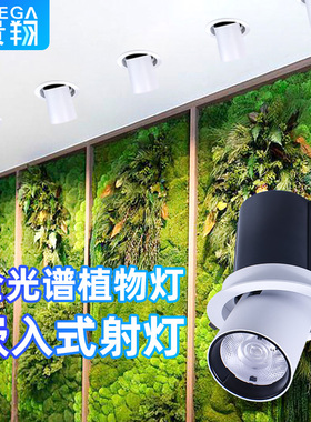 植物生长灯射灯龙舌兰雨林缸室内全光谱仿太阳光嵌入式植物补光灯