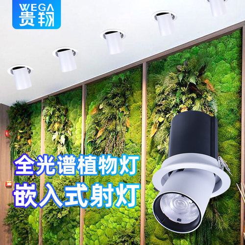 led植物补光灯贵翔植物墙补光