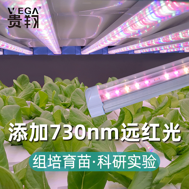 贵翔 远红光植物生长灯LED植物工厂组培实验红蓝T8全光谱补光灯