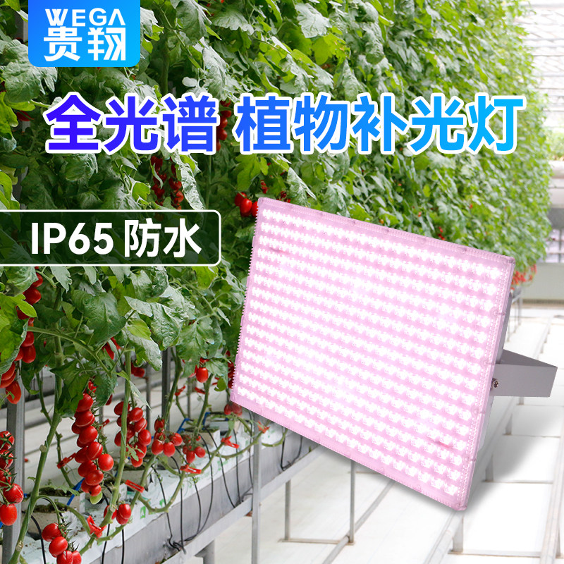 贵翔 防水植物生长灯多肉补光灯家用全光谱户外投光灯LED仿太阳光