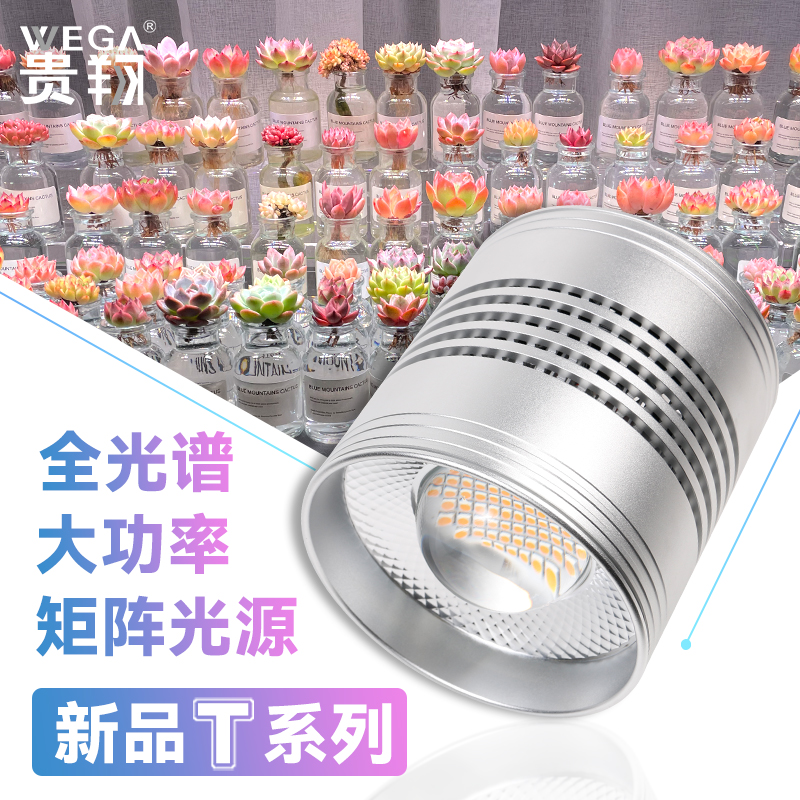 新品 贵翔多肉补光灯家用上色全光谱防徒led灯仿太阳光植物生长灯