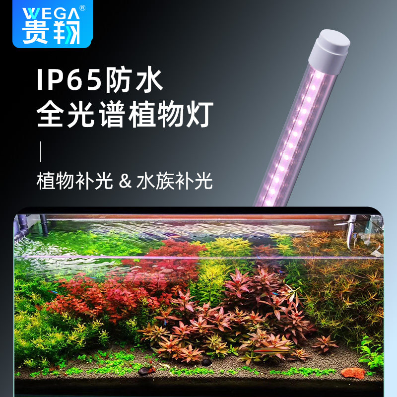 贵翔 防水全光谱T8灯管微藻灯植物补光灯LED热植植物生长灯草缸