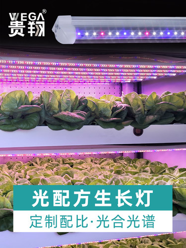 贵翔 全光谱LED植物生长灯多肉补光灯组培灯育苗室内彷太阳光家用