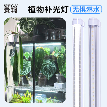 贵翔 防水全光谱T8灯管热植植物补光灯防淋水