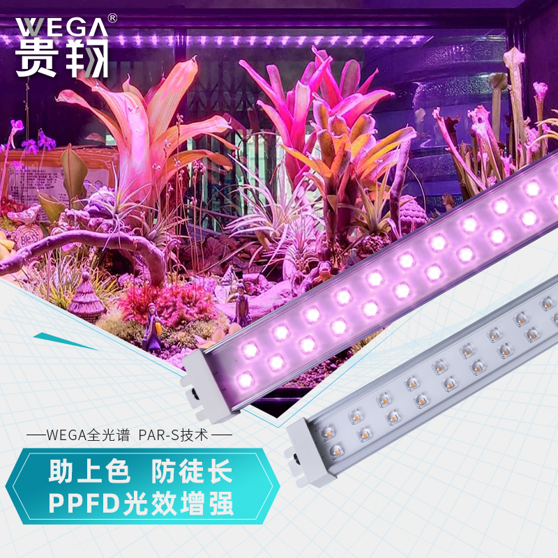 防水防潮 光谱精准高效 植物光合作用