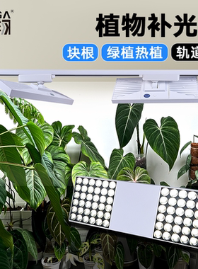 贵翔40W植物生长灯LED轨道射灯全光谱热植龙舌兰绿植景观墙补光灯
