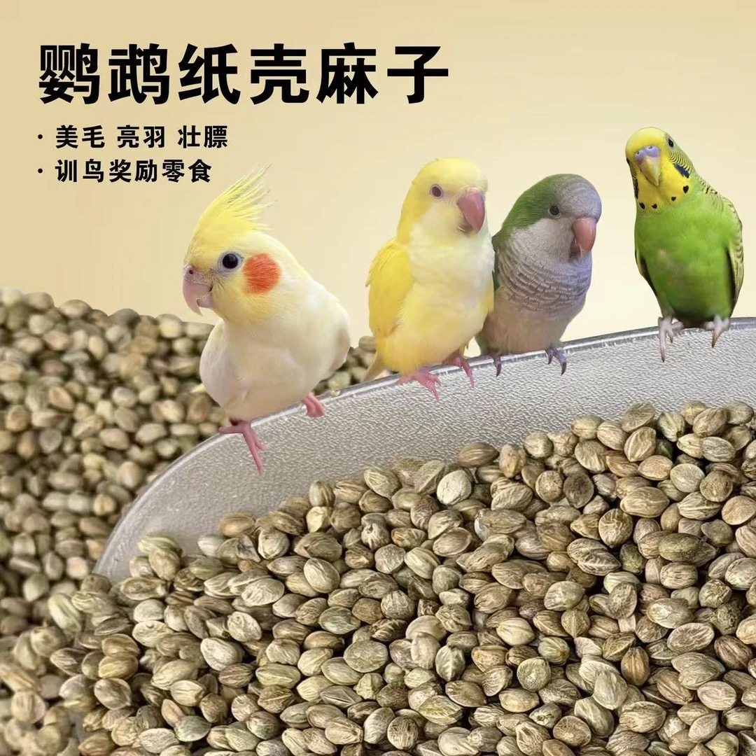 纸壳麻子鹦鹉粮当季新货玄凤牡丹小太阳和尚鸟训练零食，增肥亮羽,宠物/宠物食品及用品,鸟零食,淘宝优惠券,粉丝福利购,淘宝优惠卷