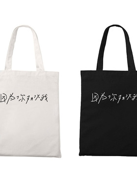 因为你所以我个性标语单肩拉链帆布袋装书收纳托特包环保袋