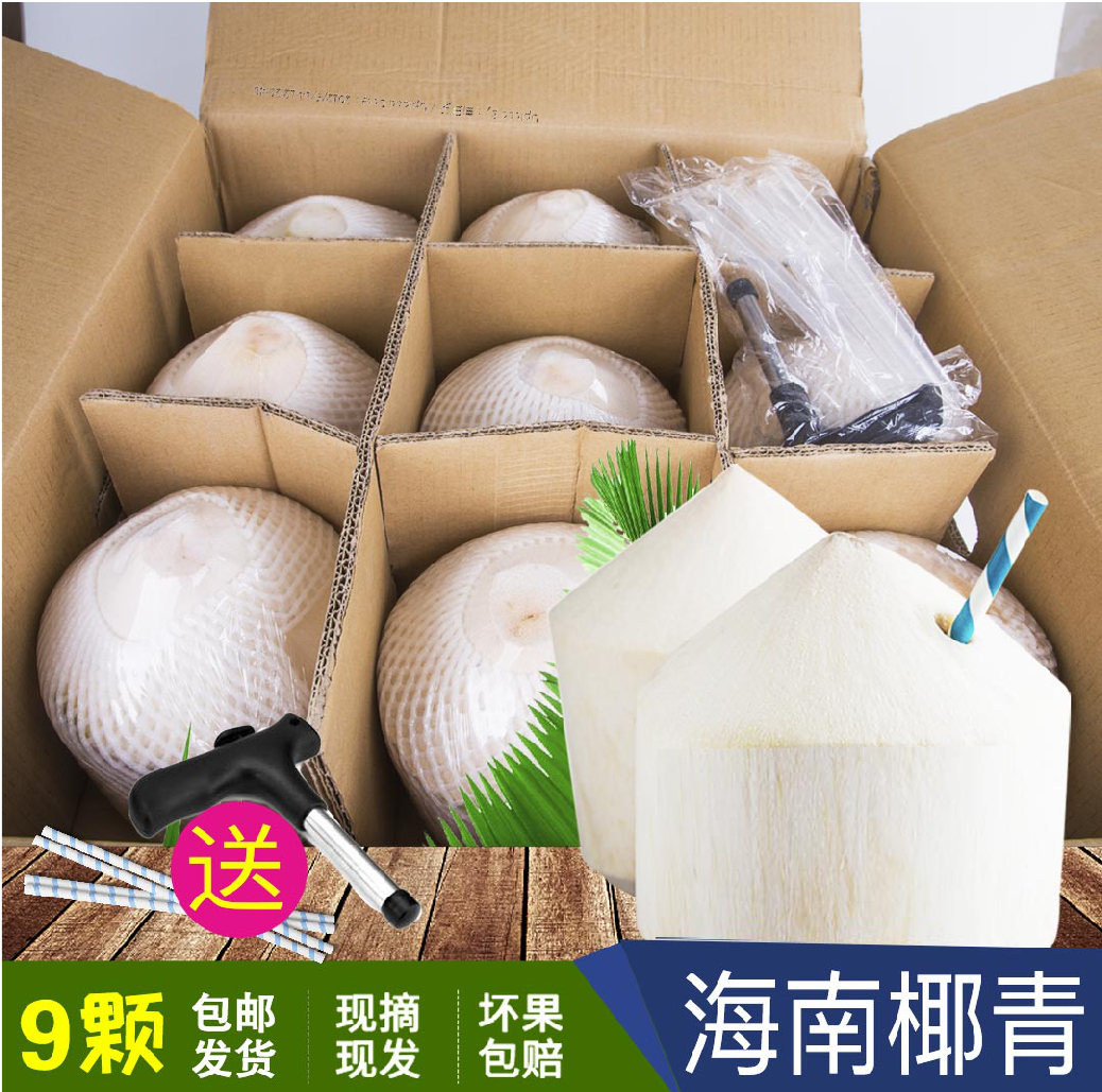 椰青9个装海南文昌新鲜现摘水果包邮赠送开瓶器吸管去皮新鲜椰子在类目 水产肉类/新鲜蔬果/熟食, 新鲜水果, 椰青中 - 来自Buy2taobao.com提供专业的淘宝代购服务