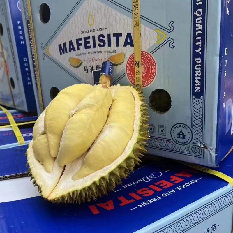 新鲜泰国金枕马菲特斯榴莲A果树上熟顺丰包邮
