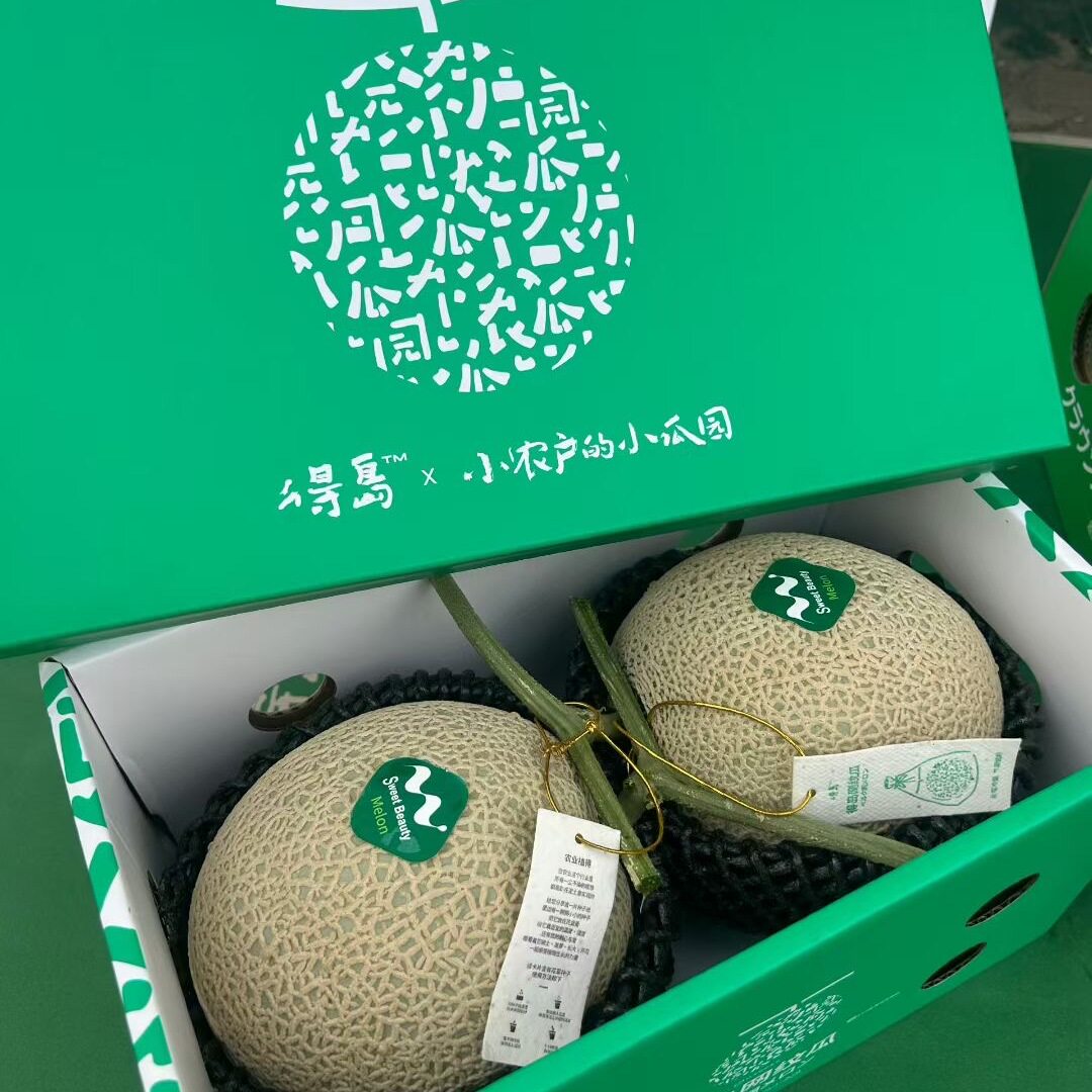 新鲜当季引进日本井冈蜜品种瓜现摘海南网纹蜜瓜哈密瓜冰激凌