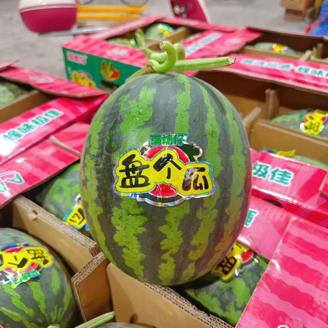新鲜当季盘个瓜甘美4K脆甜软籽多汁
