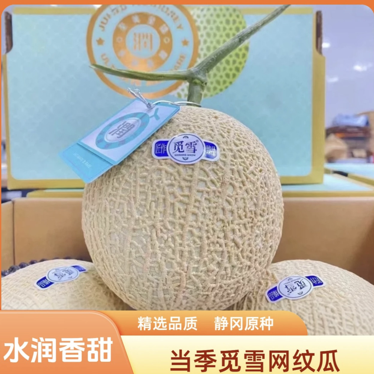 现季觅雪网纹瓜静冈品种粗纹哈密瓜口感软糯香甜顺丰包邮