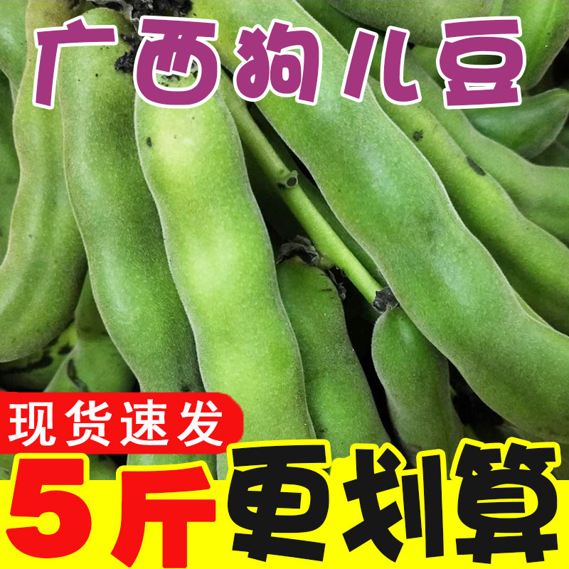 广西农家新鲜狗儿豆狗爪豆狗爪豆