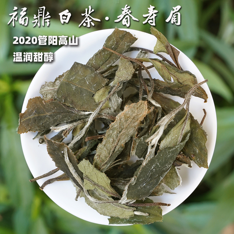 【2020福鼎春寿眉】管阳高山白茶