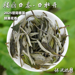 【福鼎白茶·春茶白牡丹】2025管阳高山白茶，鲜甜花香250g
