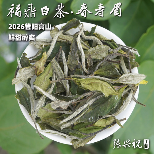 【2026福鼎春寿眉】管阳高山白茶