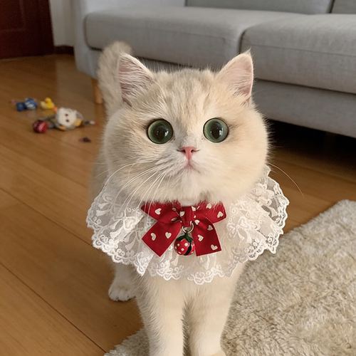 可爱蝴蝶结仙女猫咪口水巾公主风蕾丝项圈铃铛项链围兜狗狗口水巾