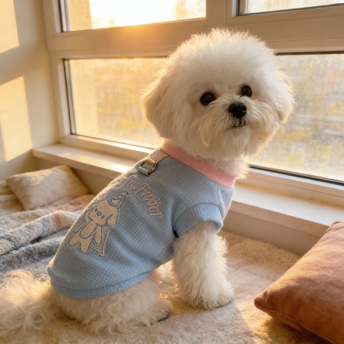 夏季薄款宠物小狗狗衣服雪纳瑞马尔济斯博美泰迪比熊小型犬防掉毛