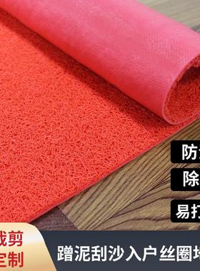 B料C料3A塑料pvc喷丝地垫加厚进门垫酒店迎宾 防滑防水地毯可剪裁