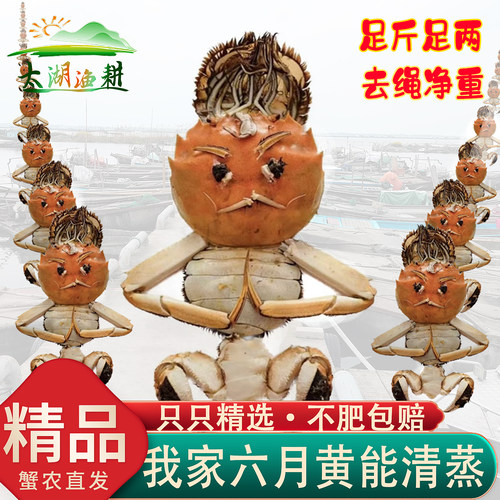 精品现货我家六月黄可清蒸