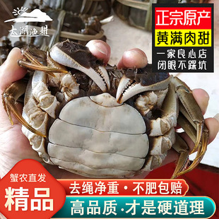 苏州太湖大闸蟹鲜活现货螃蟹公母礼盒 轻奢精品红膏 活蟹净重