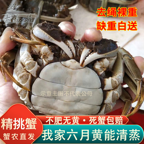 我们不一样，我家六月黄能清蒸喔