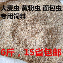 黄粉虫大麦虫面包虫蟋蟀活体专用饲料 麦麸