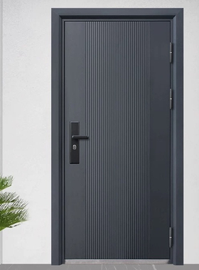 防盗门进户门家用入户门室内外出租房农村大门子母钢质工程单开门