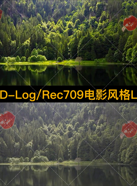 大疆DJI D-Log航拍景观高品质3D LUT预设+Rec709电影风格调色LUTs