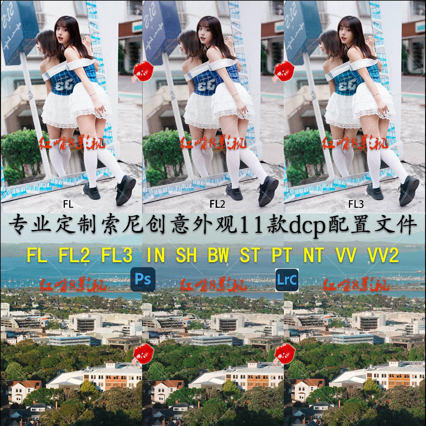 专业定制各机型索尼Fl2 FL3创意外观IN VV2等11款dcp预设配置文件