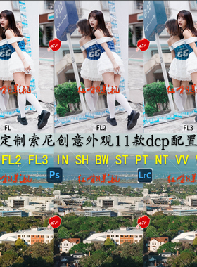 专业定制各机型索尼Fl2 FL3创意外观IN VV2等11款dcp预设配置文件