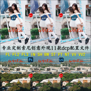 专业定制各机型索尼Fl2 FL3创意外观IN VV2等11款dcp预设配置文件