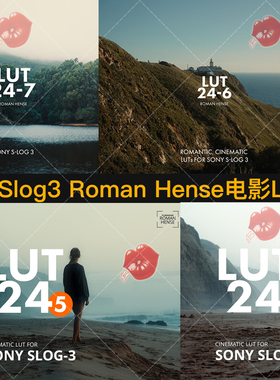 索尼Sony S-Log3电影质感高品质LUT预设Roman Hense LUT 24-7/6/5