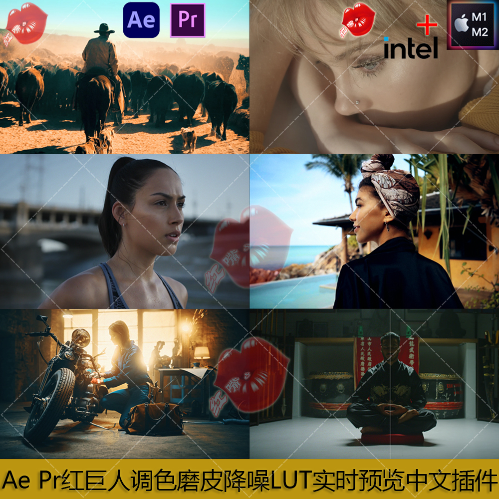 Ae Pr红巨人调色磨皮降噪LUT实时预览Magic Bullet Suite中文插件