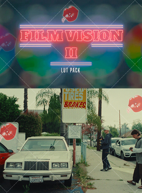 柯达Vision3 500T/250D胶片模拟仿真调色 FilmVision V2 LUT Pack